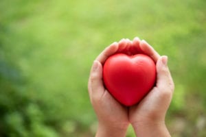 LTB 66 | Purpose-Driven Life